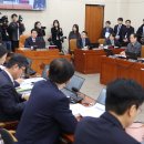 한가한가 이미지