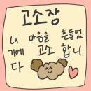 까오싱 네이버블로그