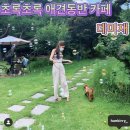 정원카페