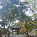 투명한 하루