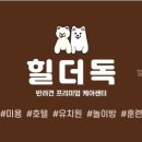 힐더독케어센터