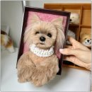 멍케이크 이미지