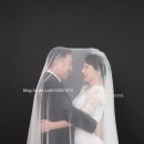 스텔라웨딩 이미지