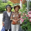 산속의정원 이미지