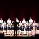 파리나무십자가 소년합창단 이미지