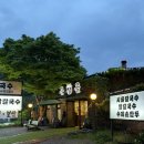 양평보쌈칼국수 | 내돈내산 | 큰골 보리밥 칼국수 | 양평 칼국수 맛집 | 애견 동반 식당 추천