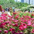 장미산업 이미지