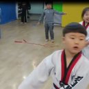 경희대 VICS 태권도장 이미지