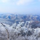 별바우목장 이미지