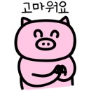 무지개포차 이미지