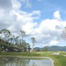 강원랜드골프클럽 이미지