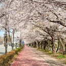 평거강변2 네이버블로그