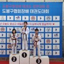 경희대라이언킹태권도 이미지