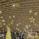 정산도서관 | 코엑스 별마당 도서관 새롭게 단장한 별 트리 별마당 도서관 크리스마스 트리 후기 (주차장 및 안내)