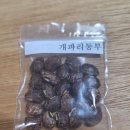 토종동부 3가지 발송 이미지