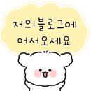 반죽동247