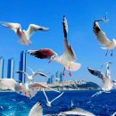 (주)오월의아침 이미지