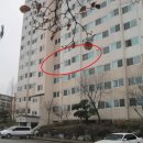 양벌로 이미지