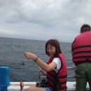 혜정수산
