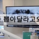 코끼리치과의원 이미지