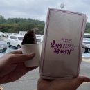 [캠핑장추천] 충남 금산 진악산오토캠핑장/ 개별화장실/ 개별샤워장/ 사이트추천/ 조용한캠핑장
