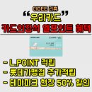 우리 카드의 정석 L.POINT CHECK 혜택 장단점 - 우리 엘포인트 체크카드 적립 후기 피킹률