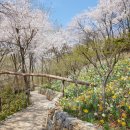 일렁이는 이미지