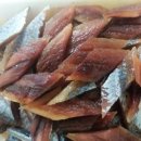 예뿐강아지 이미지