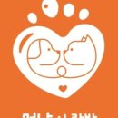 멍냥사랑방 이미지