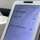 바비몽 | 속초중앙시장 내가고민끝내준다(장홍김밥 만석닭강정 밀전병 단호박식혜)