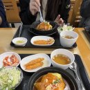 한국과학기술연구원 KIST 현장실습 후기 (지원 방법, 인재개발원 현장실습 멘토링 내용 공유)