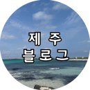 중앙로21길 | [여행] 제주 동쪽 가볼 만한 곳부터 김포공항주차장 이용까지 (사려니숲길, 제동목장주차, 용눈이오름...