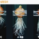 한농종묘사 이미지