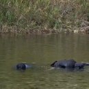 낙산무인텔 이미지