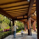 정수기랜드 | 홍콩 디즈니랜드 리조트 가격 익스플로러스 로지 아이랑 숙박했던 후기