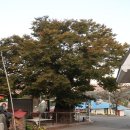화락산 이미지