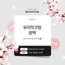 카짐 이미지