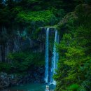 일주동로 이미지