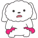 파이진동백