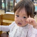 아이 첫 치과 언제 가야 할까? 18개월 멸치 사건 후기 + 영유아 구강검진 정리