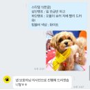 이번생은 댕댕이 | 강아지굿즈 제작 “댕잡았다” 강아지텀블러 선물후기 (+강아지티셔츠,머그컵)