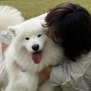 모카펫 이미지