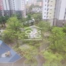 팔룡동205 이미지