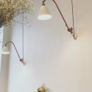 단스부띠끄 이미지