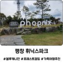 광장게임랜드 | 가을 가족여행 추천 휘닉스파크 평창리조트 할인 기획전 69,000원부터