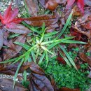 여주온천 이미지