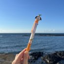 시사오 하우스 제주 이미지