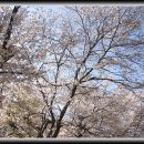 덕치초등학교 이미지