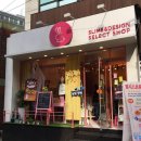 하쯔 베이커리 | [daily] 19.10.26 강남역 소품샵 투어 후기