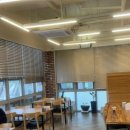 다미참치 이미지